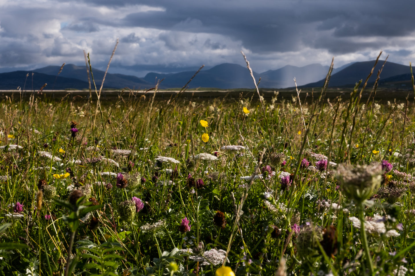 The Machir at Northton, Isle of Harris - Photographic Print