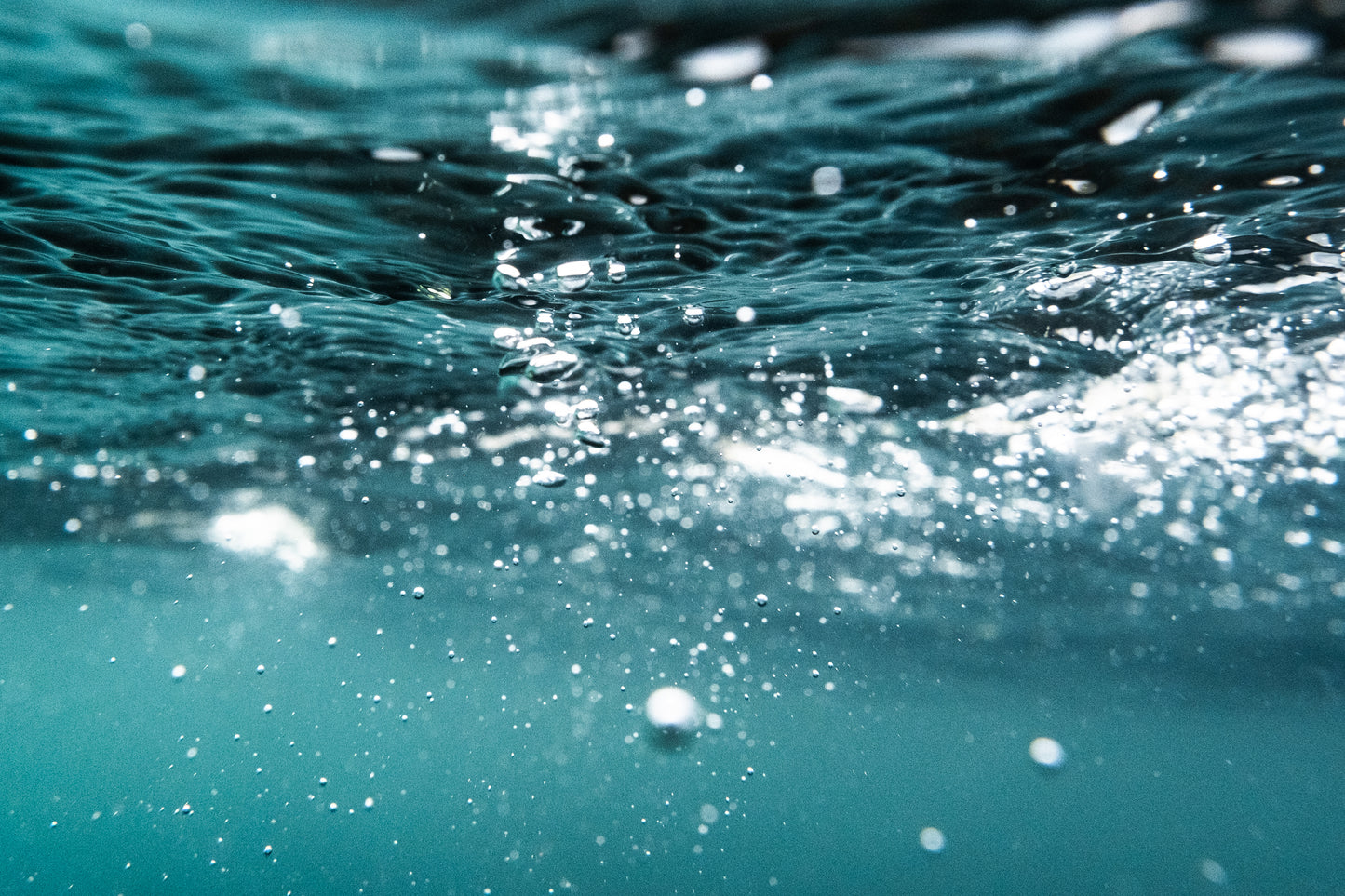 Underwater, St Kilda III - Photographic print