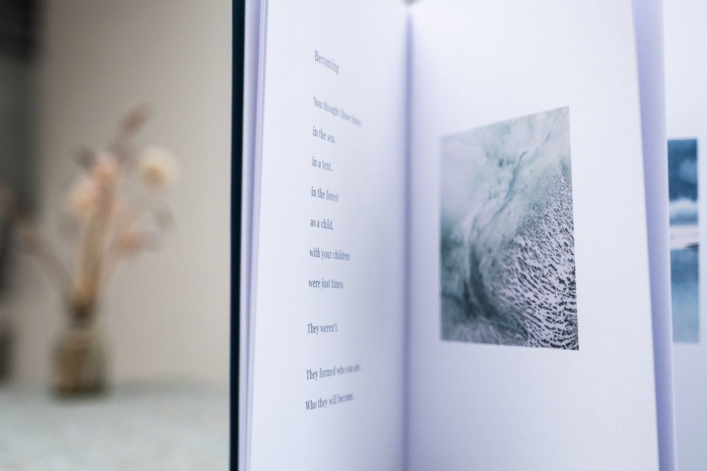 The Book - Shaped by the Sea