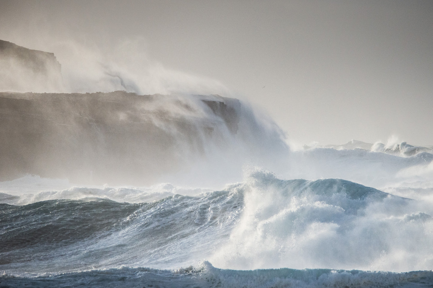 Orkney Cliff Study 1 - Print