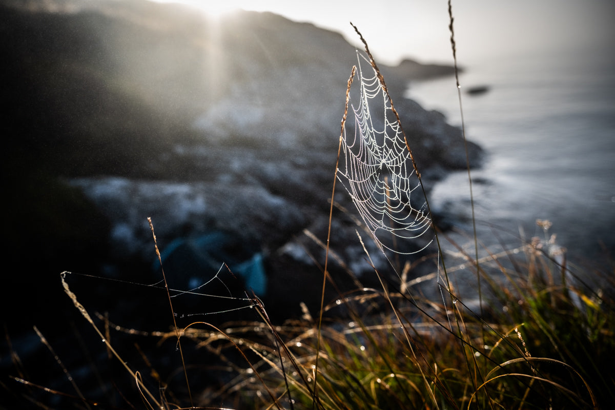 Bays of Harris l   - Photographic Print