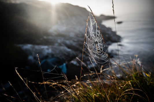 Bays of Harris l   - Photographic Print