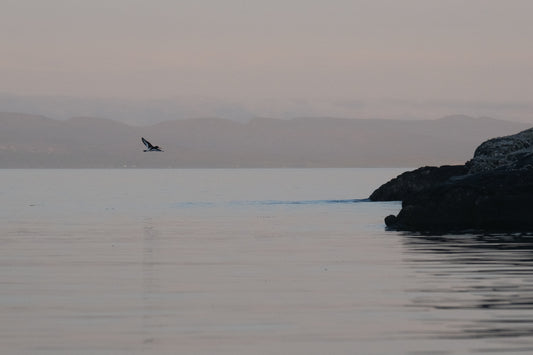 Early morning, The Bays of Harris l   - Photographic Print