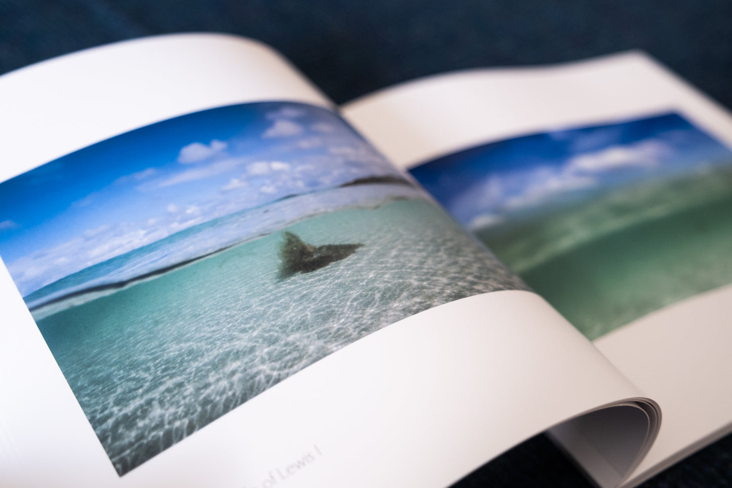 Within Hebridean Seas Book