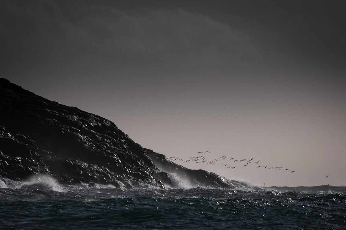 Northton coastline, Isle of Harris   - Photographic Print