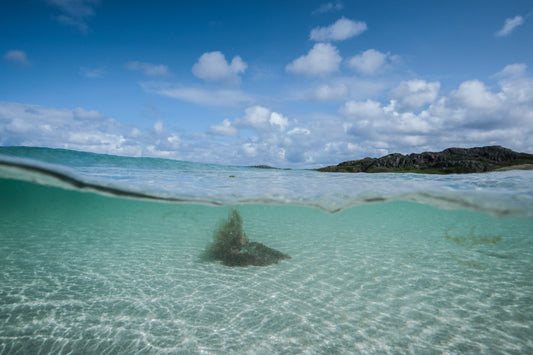 Reef beach, Isle of Lewis I-  Photographic print