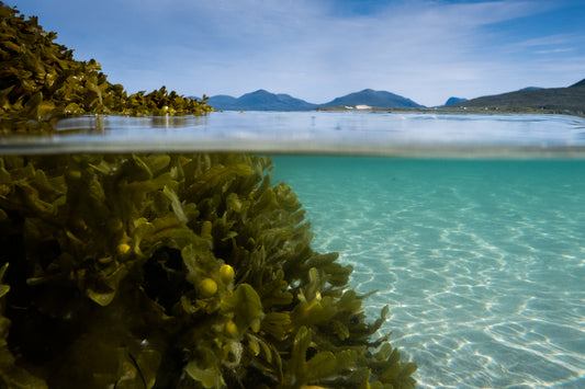 Seilebost, Above & Below, Isle of Harris IV-  Photographic print