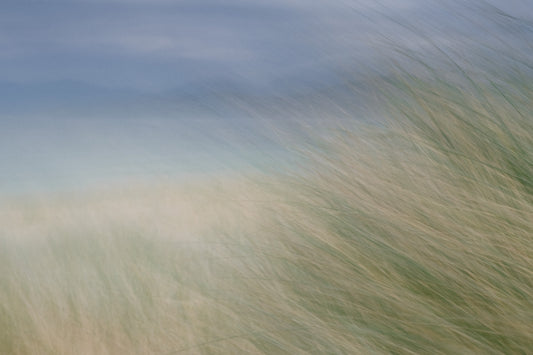 Seilebost colours, Isle of Harris l - Photographic Print