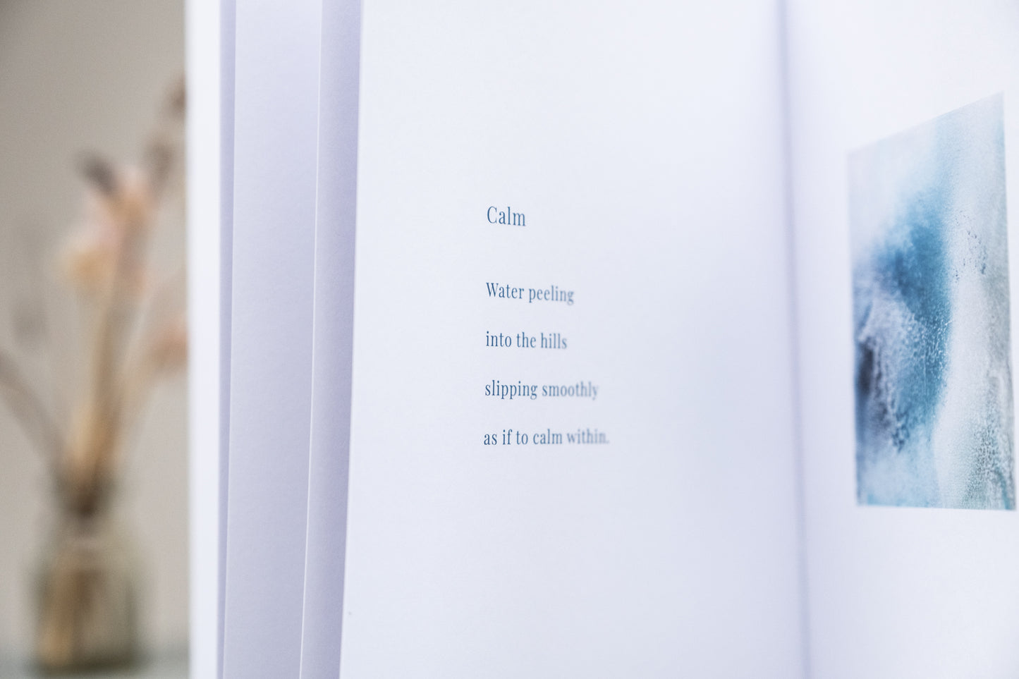 The Book - Shaped by the Sea